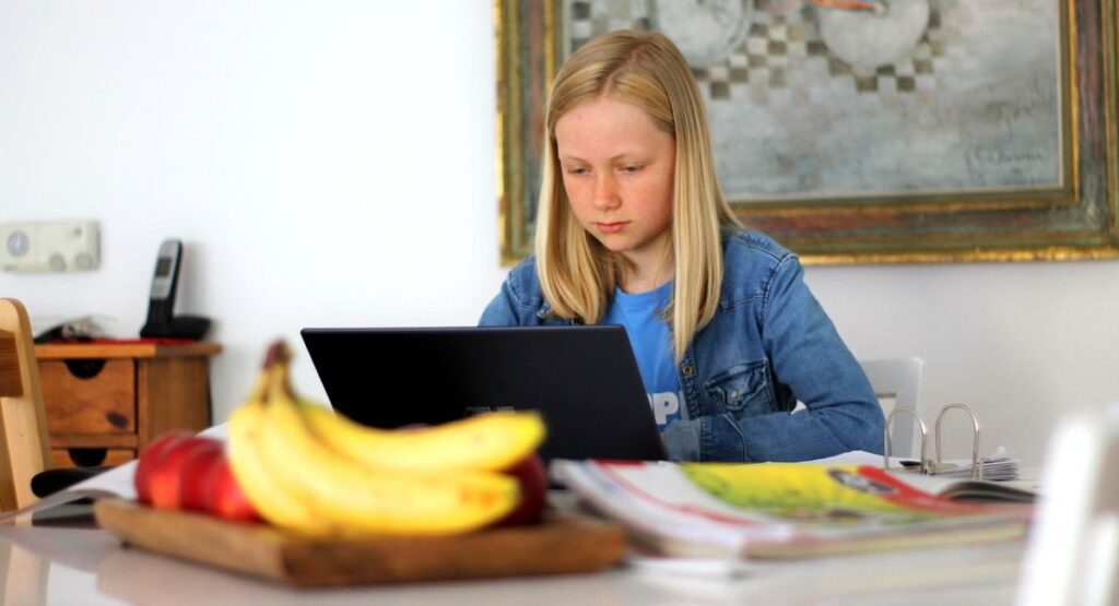 Pulaski Tech Online Programs: Affordable Education